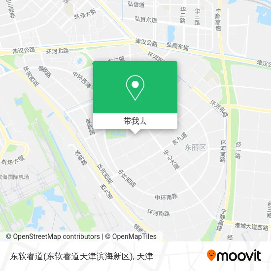 东软睿道(东软睿道天津滨海新区)地图