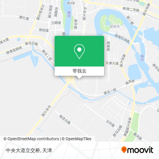 中央大道立交桥地图