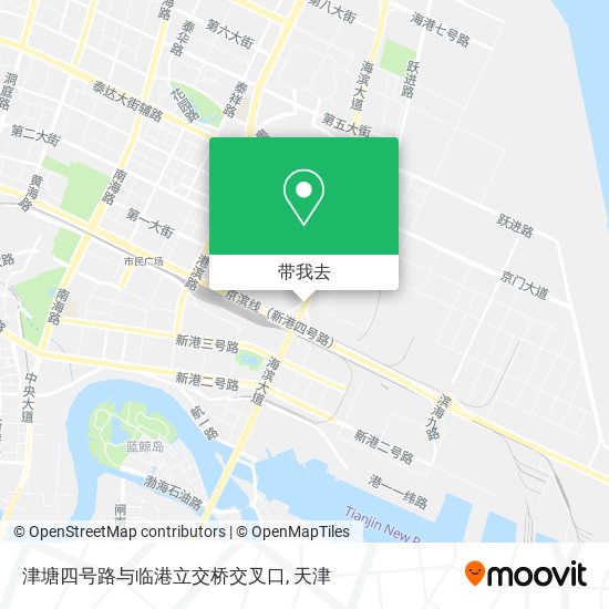 津塘四号路与临港立交桥交叉口地图