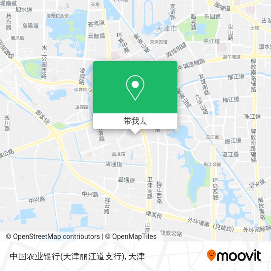 中国农业银行(天津丽江道支行)地图