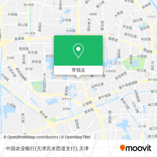 中国农业银行(天津宾水西道支行)地图