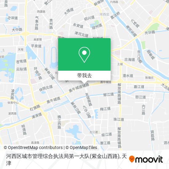 河西区城市管理综合执法局第一大队(紫金山西路)地图