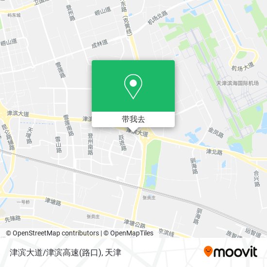 津滨大道/津滨高速(路口)地图