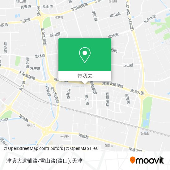 津滨大道辅路/雪山路(路口)地图