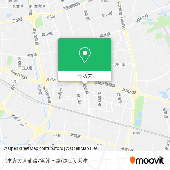 津滨大道辅路/雪莲南路(路口)地图