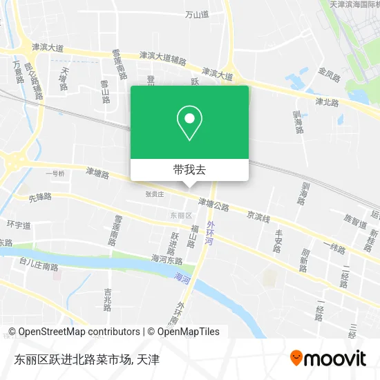 东丽区跃进北路菜市场地图