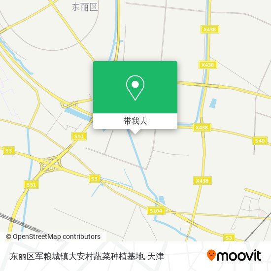 东丽区军粮城镇大安村蔬菜种植基地地图