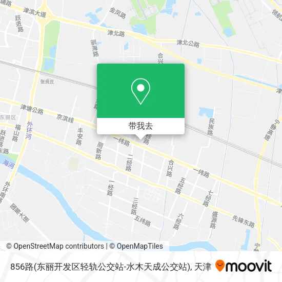 856路(东丽开发区轻轨公交站-水木天成公交站)地图