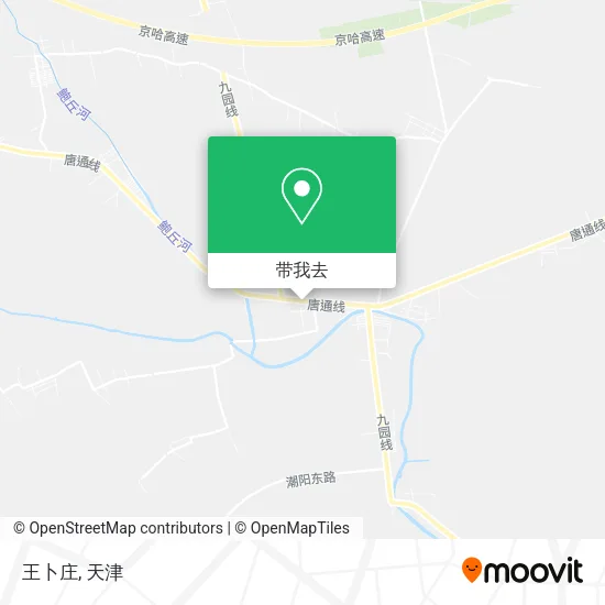 王卜庄地图