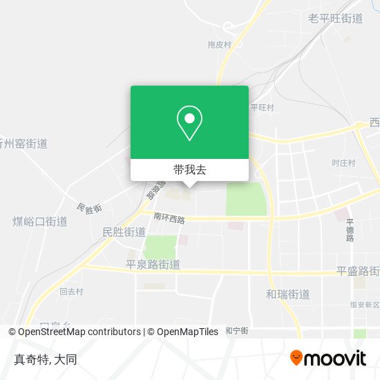 真奇特地图