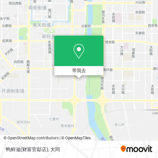 鸭鲜滋(财富官邸店)地图