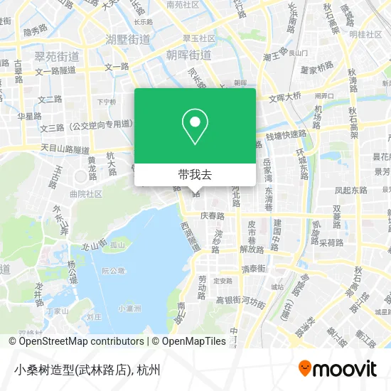 小桑树造型(武林路店)地图