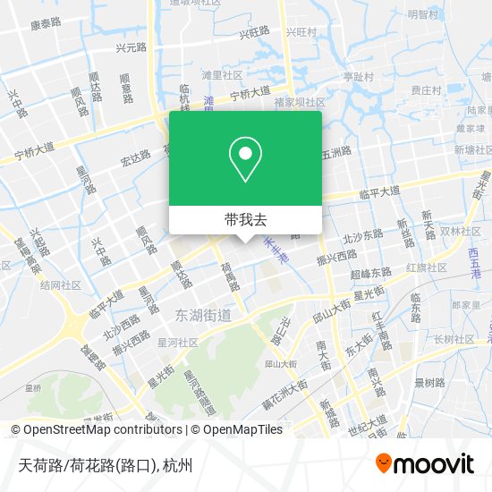 天荷路/荷花路(路口)地图