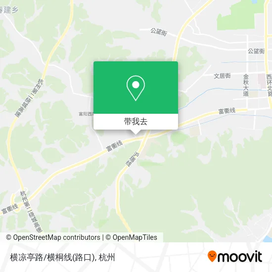 横凉亭路/横桐线(路口)地图