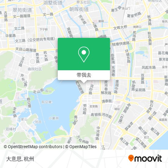 大意思地图