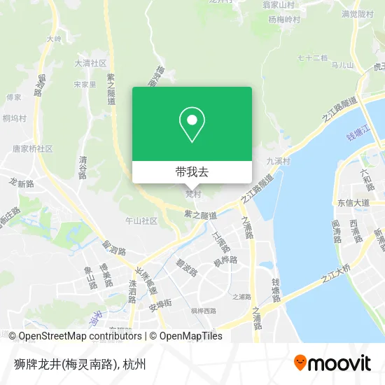 狮牌龙井(梅灵南路)地图