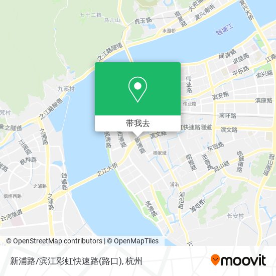 新浦路/滨江彩虹快速路(路口)地图