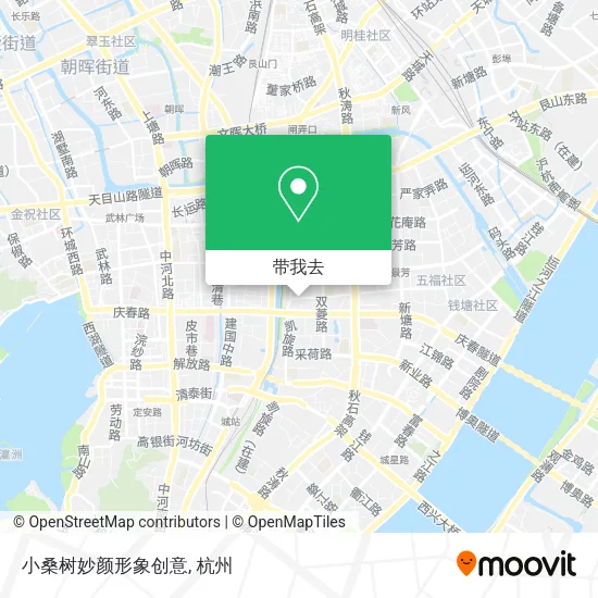 小桑树妙颜形象创意地图