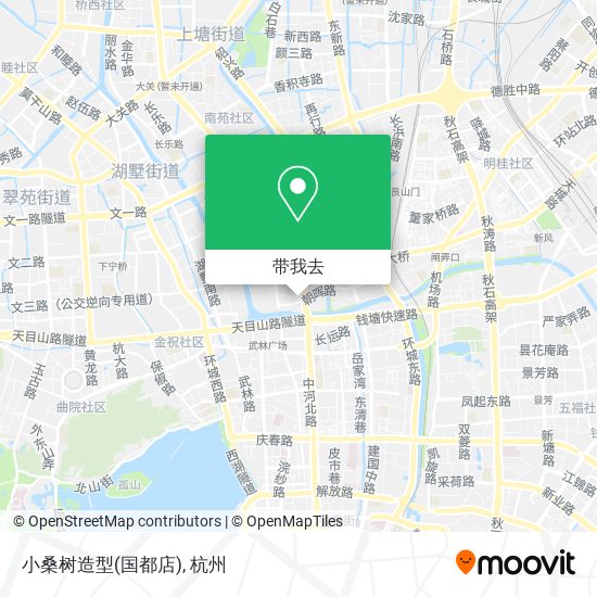小桑树造型(国都店)地图