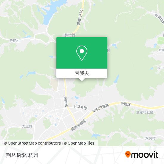 荆丛豹影地图