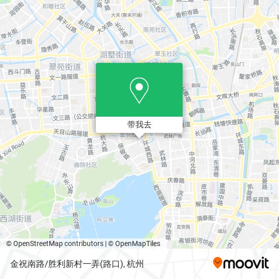 金祝南路/胜利新村一弄(路口)地图