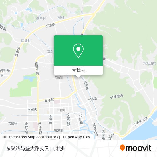 东兴路与盛大路交叉口地图