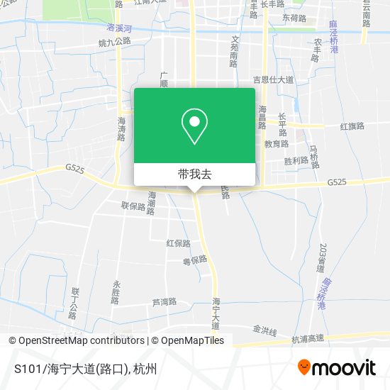 S101/海宁大道(路口)地图