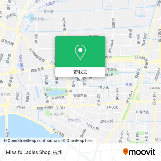 Miss fu Ladies Shop地图