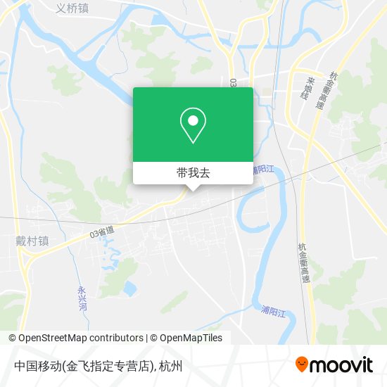 中国移动(金飞指定专营店)地图