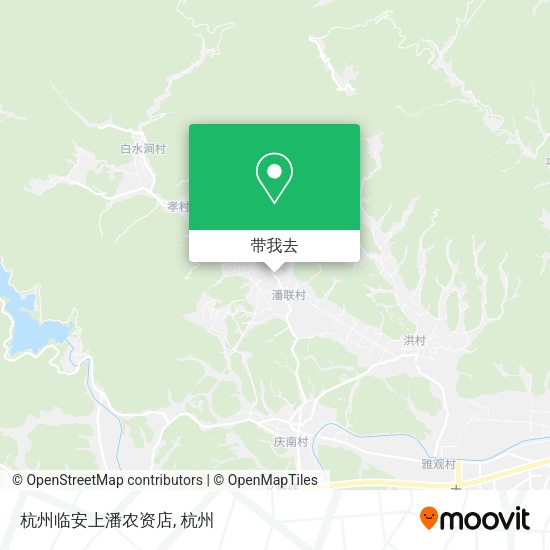 杭州临安上潘农资店地图
