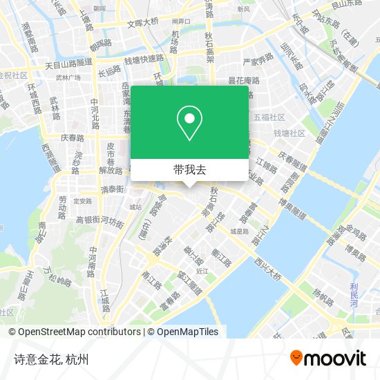诗意金花地图