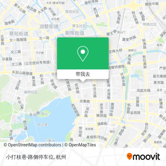 小打枝巷-路侧停车位地图