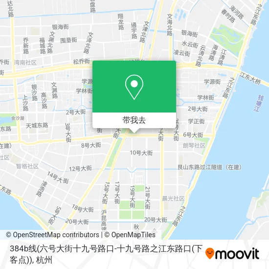 384b线(六号大街十九号路口-十九号路之江东路口(下客点))地图