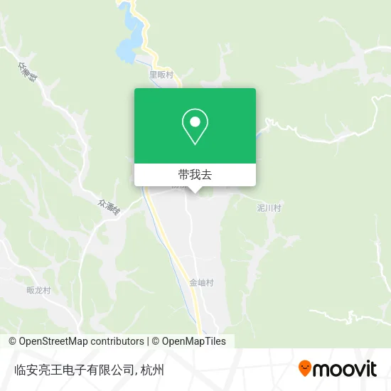 临安亮王电子有限公司地图