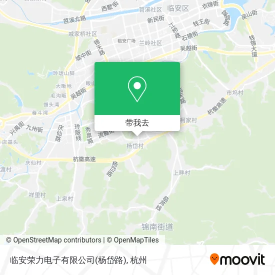临安荣力电子有限公司(杨岱路)地图