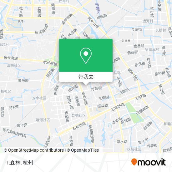 T.森林地图