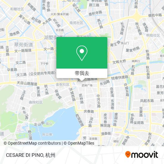 CESARE DI PINO地图
