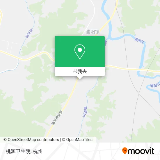 桃源卫生院地图