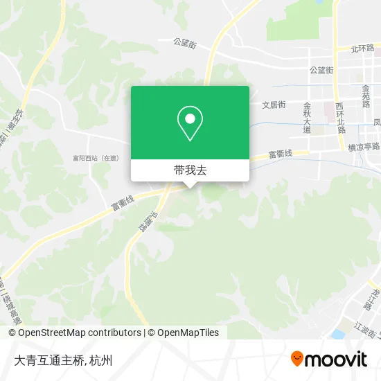 大青互通主桥地图