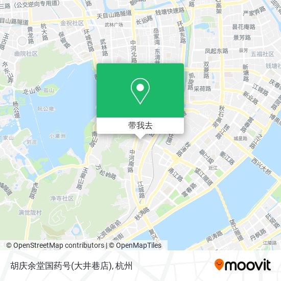 胡庆余堂国药号(大井巷店)地图