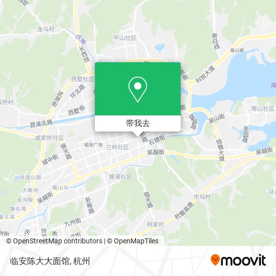 临安陈大大面馆地图
