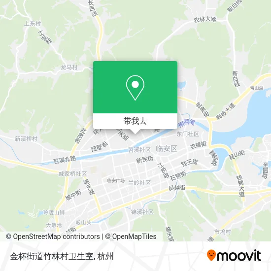 金杯街道竹林村卫生室地图