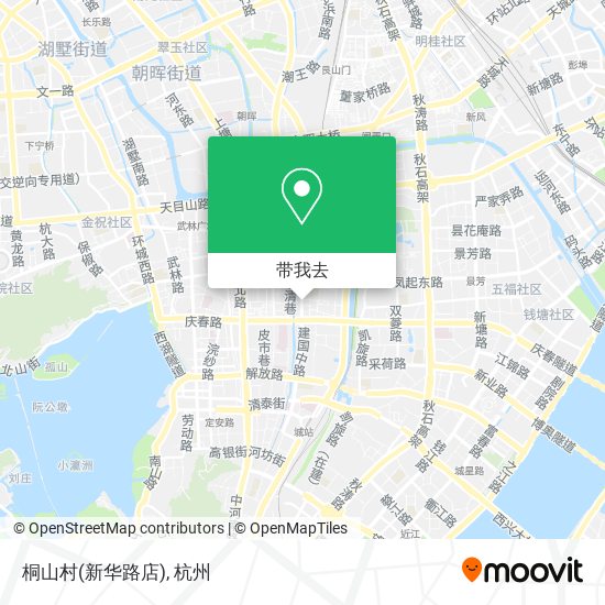 桐山村(新华路店)地图