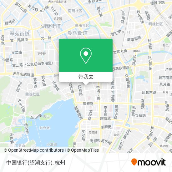 中国银行(望湖支行)地图