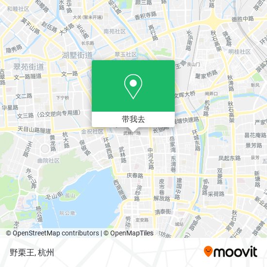 野栗王地图
