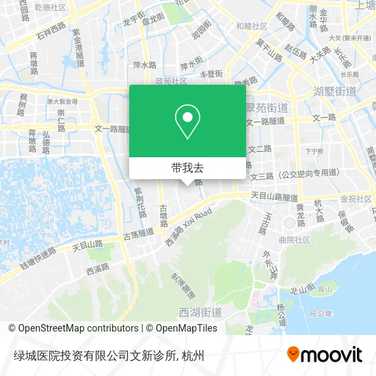 绿城医院投资有限公司文新诊所地图