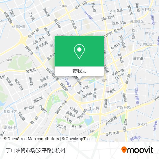 丁山农贸市场(安平路)地图