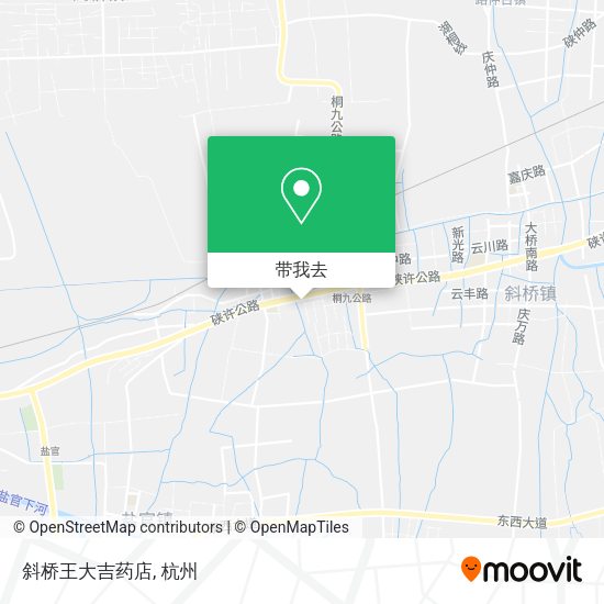 斜桥王大吉药店地图
