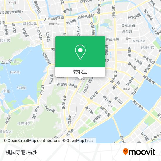 桃园寺巷地图