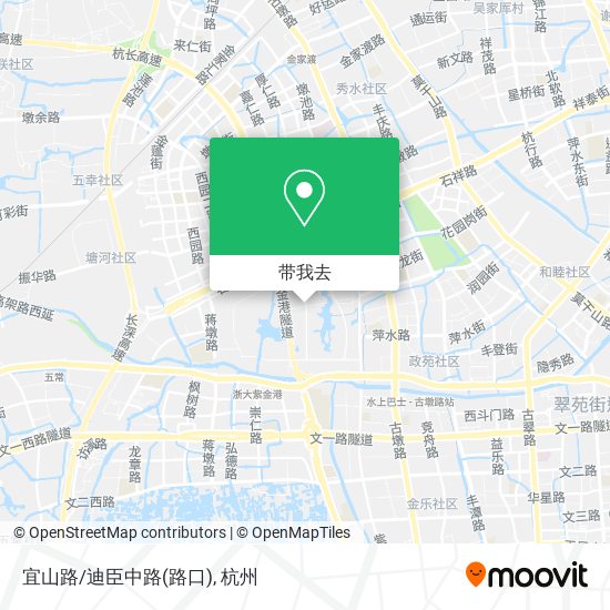 宜山路/迪臣中路(路口)地图